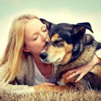 anxiety in dogs how to help dog anxiety
